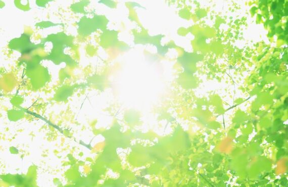 手に職つけませんか？　カイロプラクティックはどなたでも学べます！